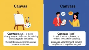 Canvas or Canvass