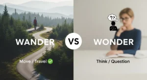 wander-or-wonder